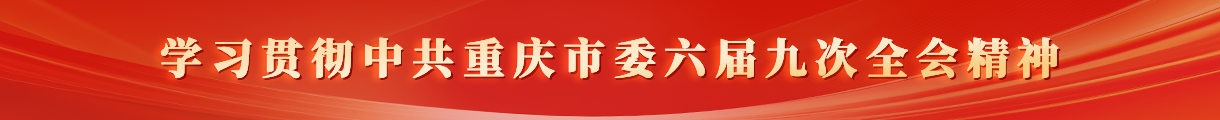学习贯彻中共重庆市委六届九次全会精神
