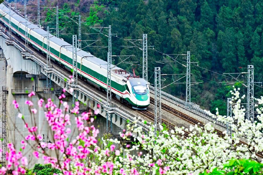 动车直达花海,川渝黔加开54列“赏花专列”3.jpg