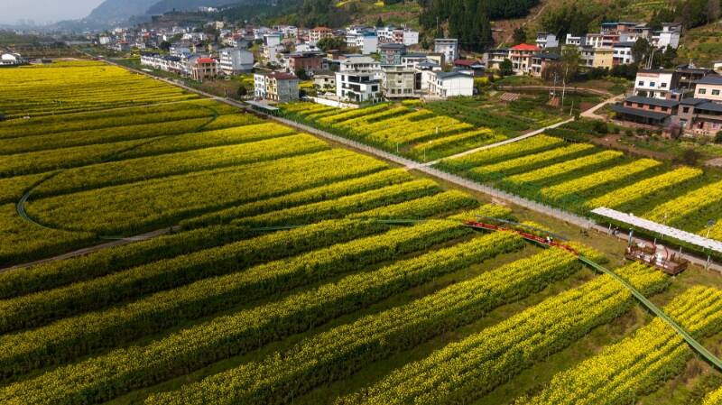 强产业、美环境、鼓腰包 开州成功打造乡村振兴“库区标杆”3.jpg